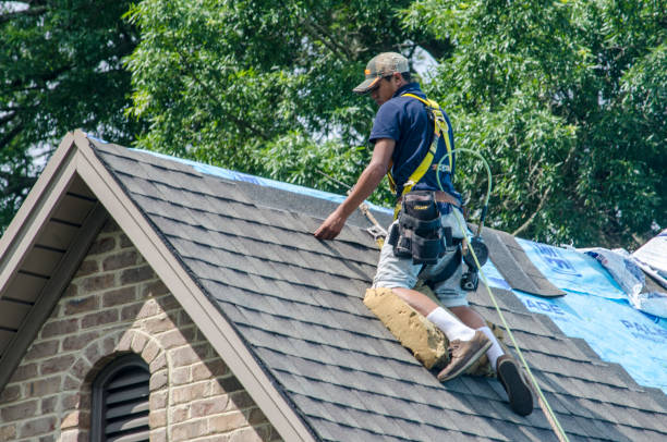 Best Local Roofing Companies  in Hancock, MD